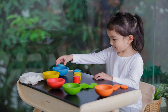 Plan Toys Βρεφικό Παιχνίδι Sort & Count Cups από Ξύλο για 18+ Μηνών