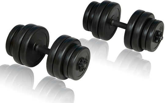 vidaXL Αλτήρες Σετ 2x 15kg