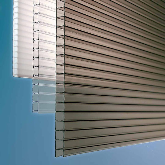 Showood Foaie din policarbonat L2.1xW1m cu Grosime 4mm 210996-1