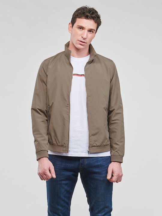 Jacket Bomber Falcon