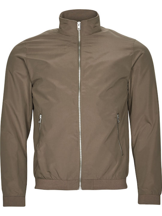 Jacket Bomber Falcon