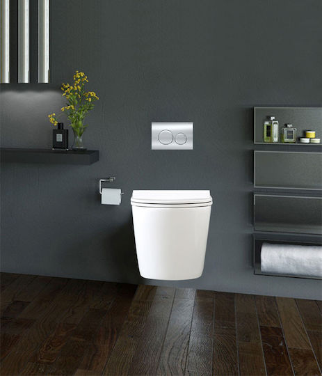 Geberit Delta 20 Flush Plate Dual Flush