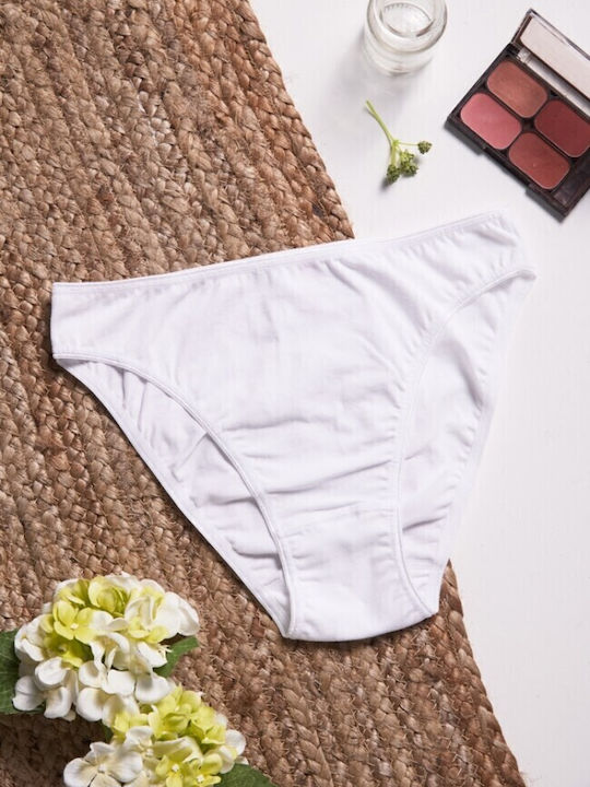 Fay Lingerie