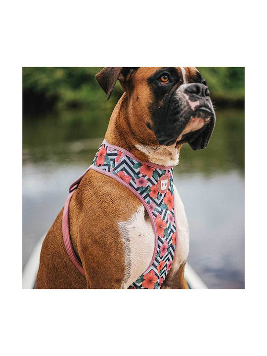 Zee-Dog Ham pentru câini Vestă Air Mesh Ham pentru câini Roz X-Small 24751