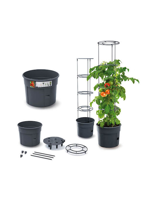 Marhome Tomato Grower