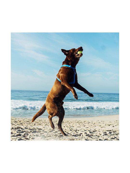 Zee-Dog Neopro 62-107cm Zee-Dog Neopro 62-107cm