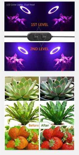 Desk Grow Light with 72 LED