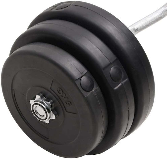 vidaXL ​Στραβόμπαρα Φ25mm Σετ με Βάρη 90kg Μήκους 120cm με Βιδωτά Κολάρα