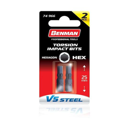 Benman Set 2 Screwdriver Bits Allen