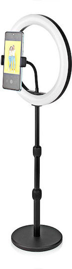 Nedis Ringlicht 26cm 2700 - 6700K mit Desktop Ständer/Halterung Halterung und Halterung für Handy