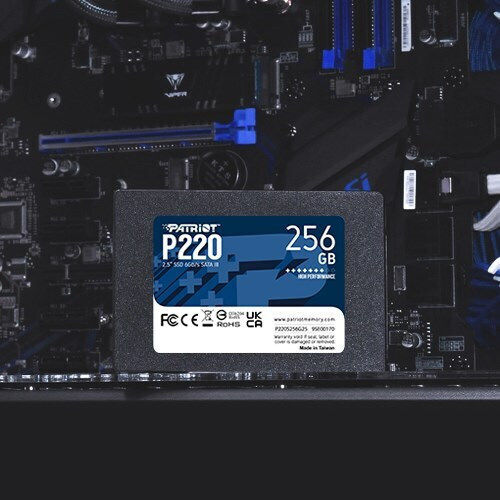 Patriot P220 SSD 256GB 2.5'' Type with SATA III Connection P220S256G25