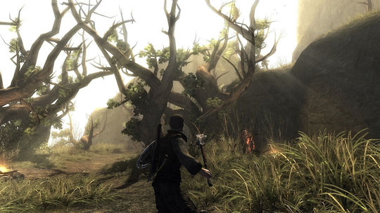 Risen PS4 Game