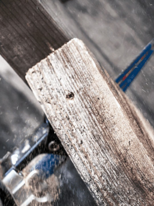 Bosch Expert Multi Material Λάμα για Δομικά Υλικά 300mm