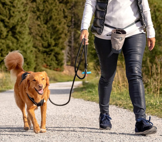 Curli Hundeleine/Führleine Stretch Comfort Leash Mittelgroß in Blau Farbe 1.80m x 0.8cm