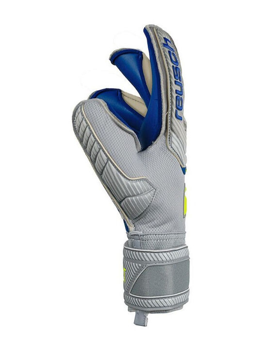 Reusch Attrakt Gold X Evo Adults Goalkeeper Gloves Gray
