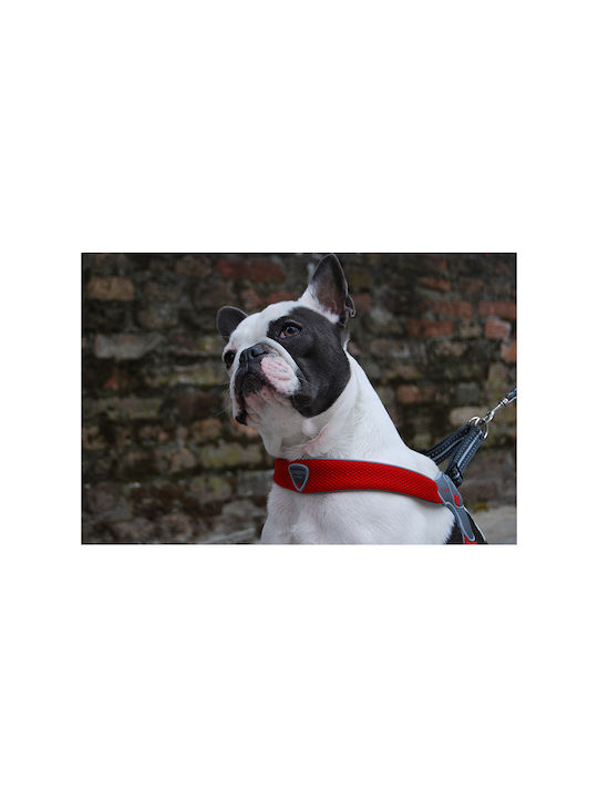 Pet Camelot Dog Strap Harness Coralpina Cinquetorri 4 Blue 35-45cm A13-C100BE040