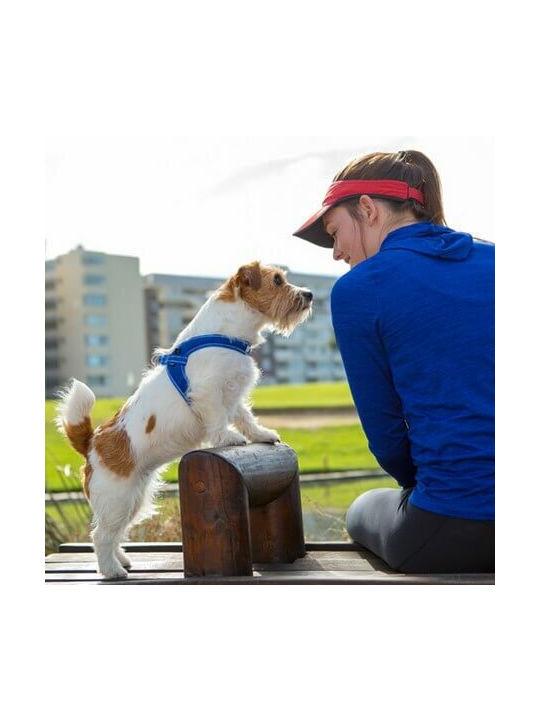 Rogz Hundegeschirr Ausbildung Fast Fit Rosa XX-klein 12mm x -32cm RGSJQ32K