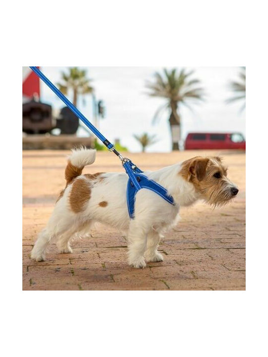 Rogz Hundegeschirr Ausbildung Fast Fit Rosa XX-klein 12mm x -32cm RGSJQ32K