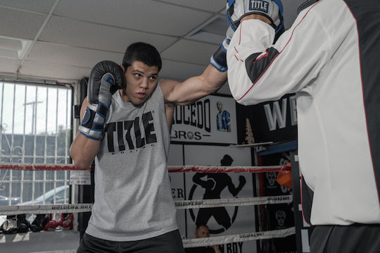 Title Boxing Platinum Perilous Mănuși de box din piele naturală pentru competiție negre