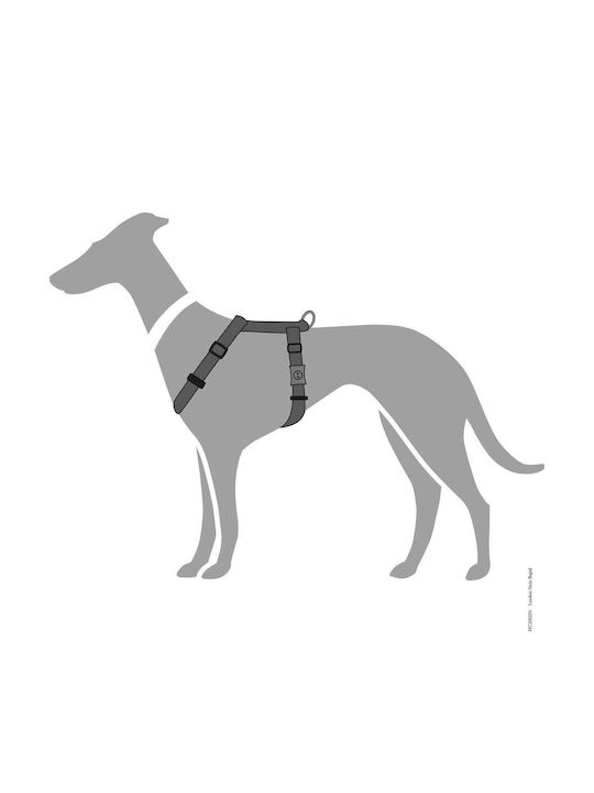 Hunter Dog Harness London Vario Rapid Gray Small 41-70cm 013509