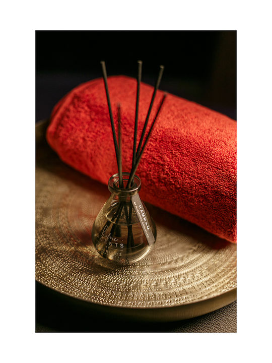 AVGERINOS Diffuser με Άρωμα Hammam