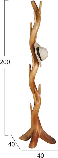 Freebox Μασίφ Suar Καλόγερος Ξύλινος Καφέ 40x40x200cm