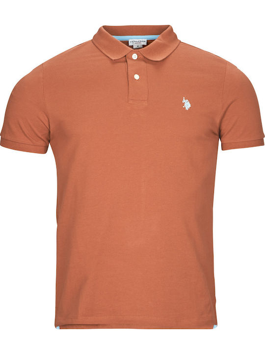 King Polo T-Shirt Brown
