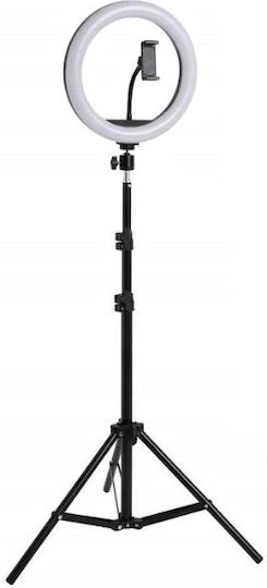 Ring Light 25.4cm 3000 - 6000K with Floor Tripod and Mobile Phone Holder