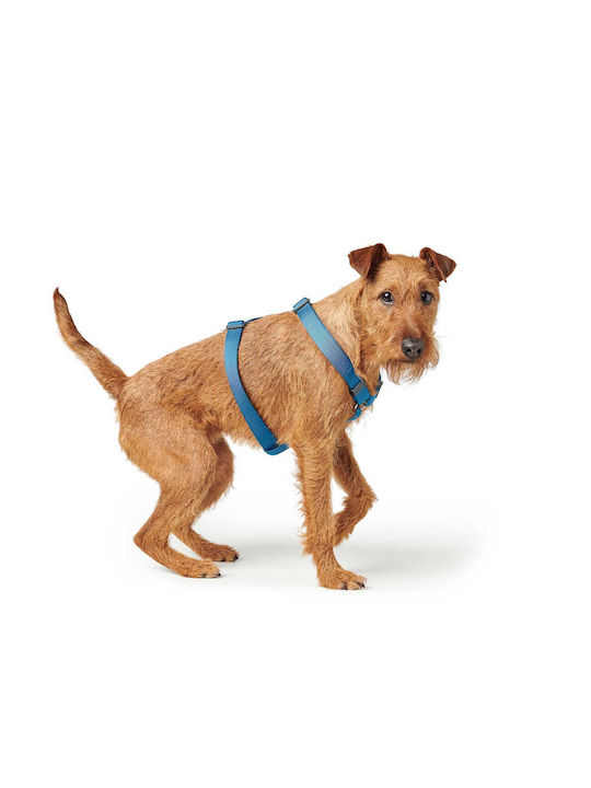 Hunter Dog Harness London Vario Rapid Blue XX-Small 22-36cm 013471