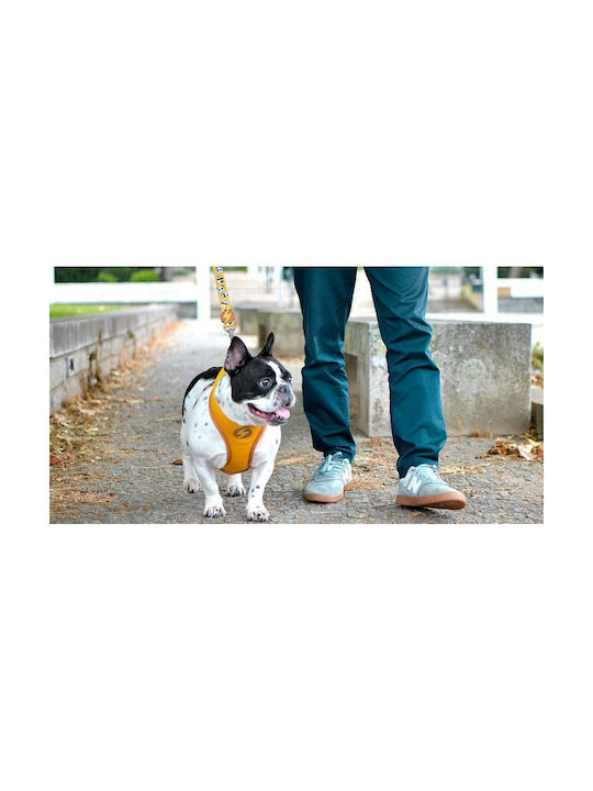 Dashi Dog Harness Vest Snooze Neo Mesh X-Small 30-36cm DNM00035