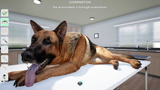 My Life: Pet Vet PS5 Game
