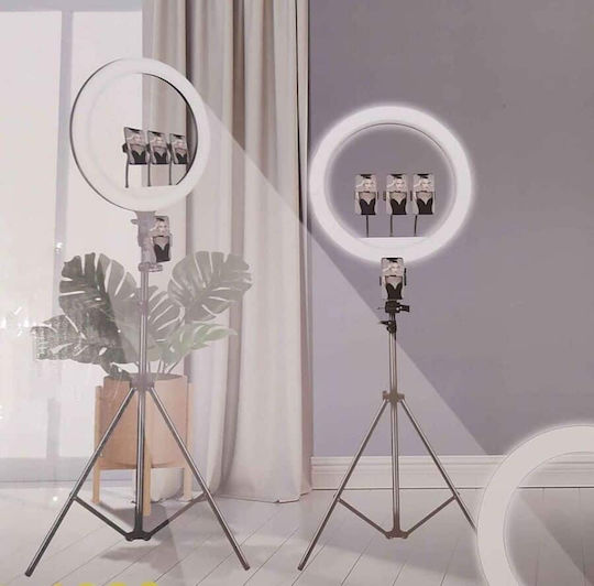 Selfie Ring Light Ring Light 36cm with Floor Tripod and Mobile Phone Holder