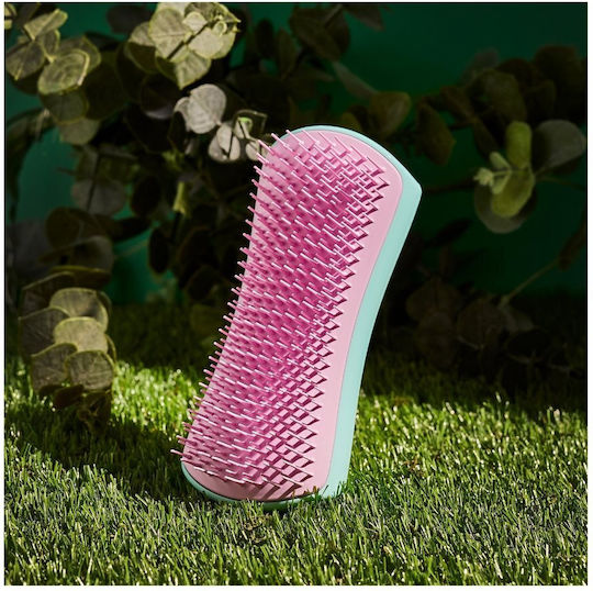 Tangle Teezer Pet Teezer Detangling Brush Large / Medium for Misc Hair Lengths for Hair Removal Turquoise Veraman/Rose