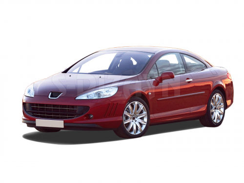 S-dizayn Exterior Car Decorative Handles Peugeot 407 2pcs