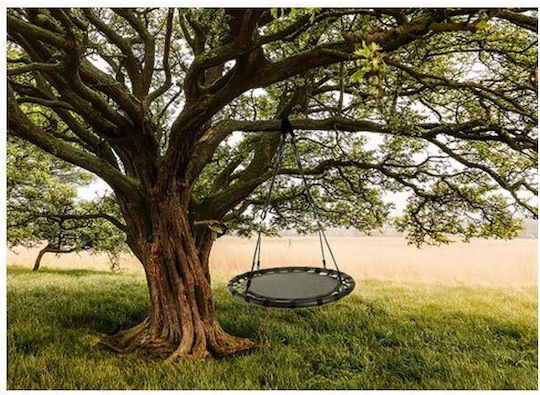 Hanging Swing Disk Black