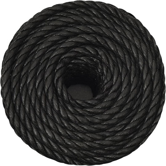 vidaXL Σχοινί Διαμέτρου 10mm με Μήκος 50m Μαύρο Σχοινί Εργασίας Μαύρο 10χιλ. 50μ. από Πολυπροπυλένιο