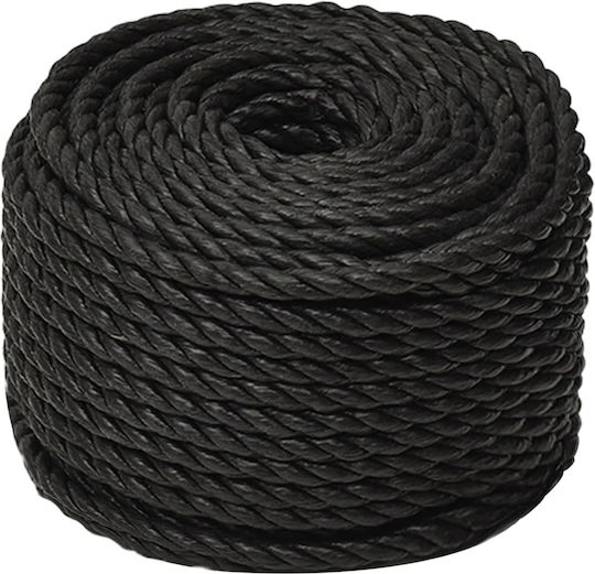 vidaXL Rope with Diameter 16mm and Length 100m Black Work Rope 16mm 100m made of Polypropylene 153027