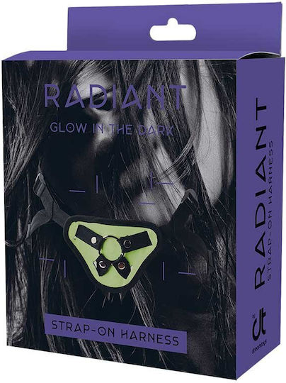 Dream Toys Radiant Glow In The Dark Gurtzeug in Grün Farbe
