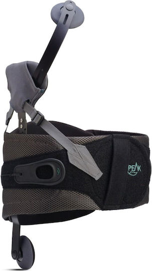 Aspen Pick Adjustable Trunk Splint Black