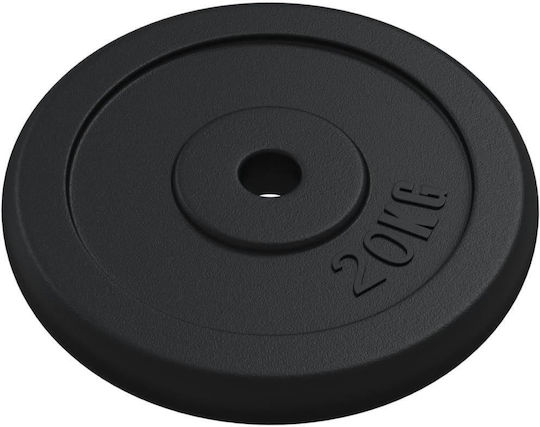 vidaXL Σετ Δίσκοι Μεταλλικοί 2 x 20kg Φ30mm