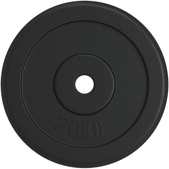 vidaXL Σετ Δίσκοι Μεταλλικοί 2 x 20kg Φ30mm