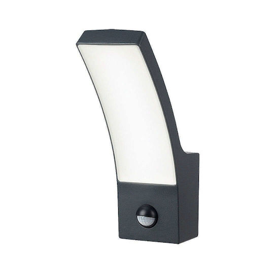 Rabalux Palanga Πλαφονιέρα LED 12W Rabalux Palanga Πλαφονιέρα LED 12W