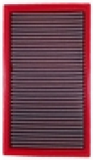 BMC Air Filter Freeflow-Luftfilter 204x338mm für Opel Vectra