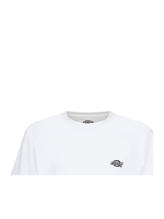 Summerdale T-shirt White