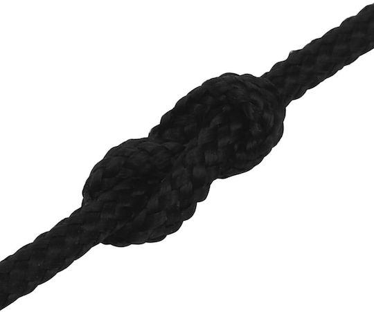vidaXL Cordă cu Diametru 2mm și Lungime 250m Sfoară neagră 2mm 250m