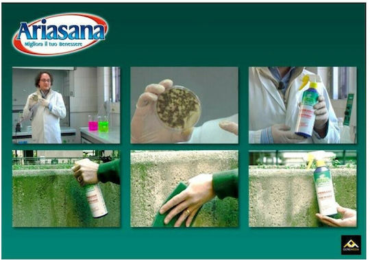 Ariasana Smuffer Reiniger als Spray für Schimmel 1x375ml