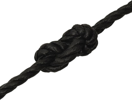 vidaXL Rope with Diameter 12mm and Length 100m Rope Black 12mm 100m Polypropylene