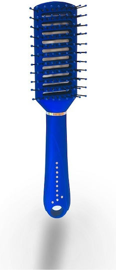 Beauty Spring Blue Hair Brush