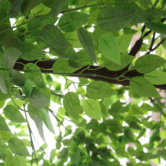 Ficus Baum im Freien 320cm GloboStar