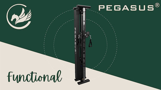 Pegasus T-SC01 Multi-Gym with Weights 100kg
